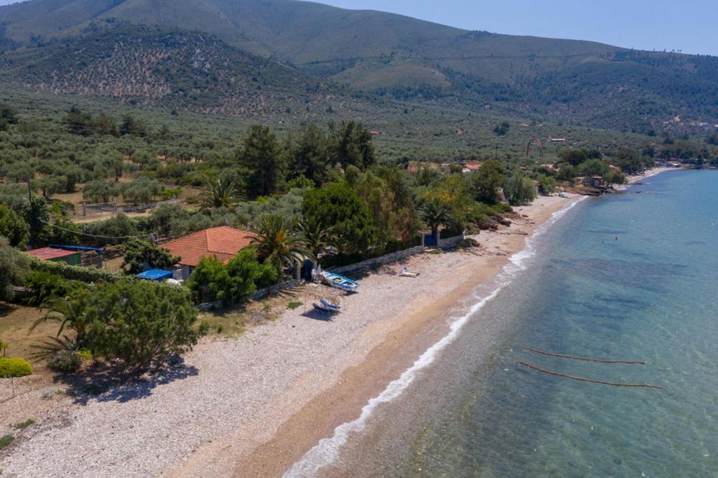 Front Beach House Skala Kallirachis Exterior photo