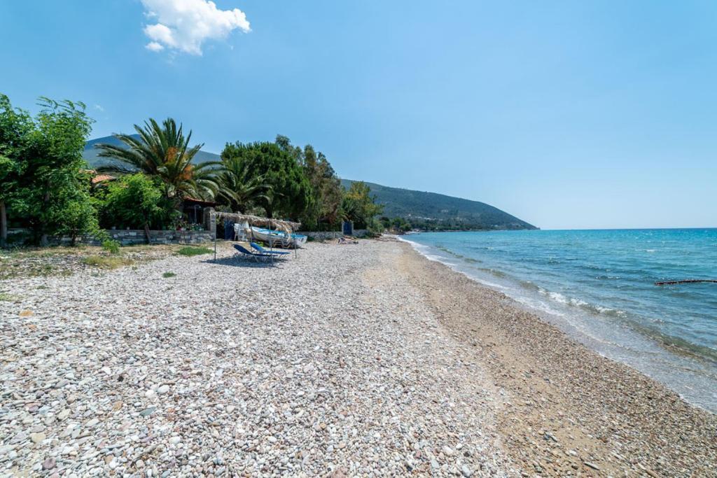 Front Beach House Skala Kallirachis Exterior photo